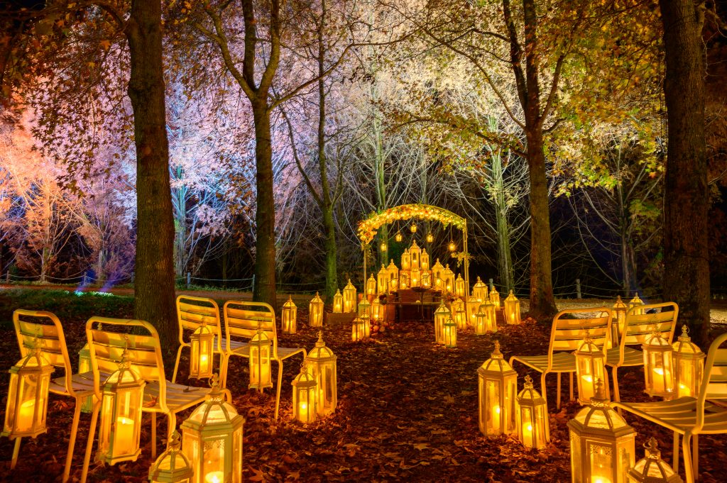 【世羅高原花の森　キャンドルナイト①】サムネイル用